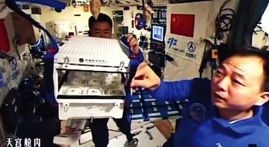 【業(yè)界要聞】中美貿(mào)易戰(zhàn)背面，反思為什么小麥玉米也要進(jìn)口