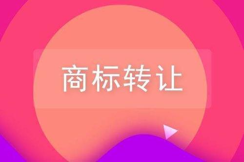 商標轉讓后多久可以使用